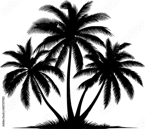 A palm tree silhouette vector style with white background