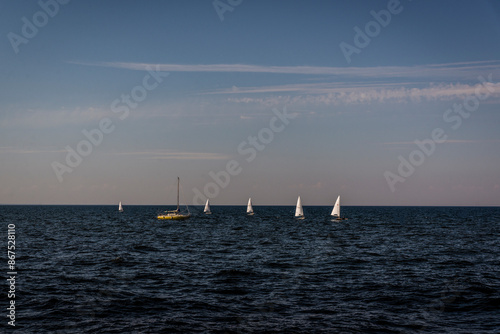 sailboats at the sunset in the sea