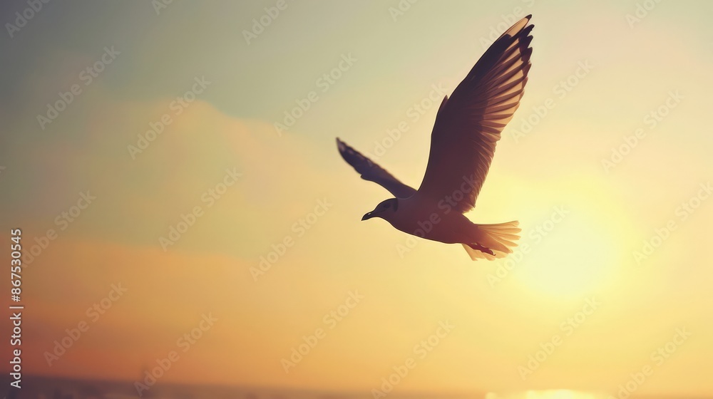 Fototapeta premium The sight of birds soaring through the sky embodies freedom and the joy of movement, inspiring us to pursue our own dreams and aspirations.