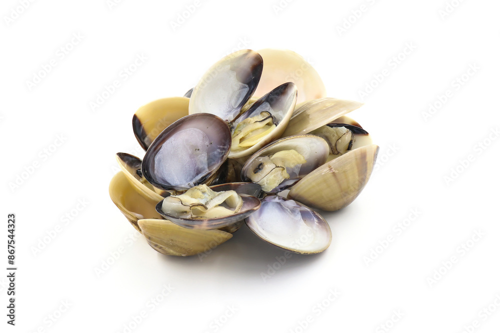 Closed up fresh baby clams, venus shell, shellfish, carpet clams, short necked clams, as raw food from the sea are the seafood ingredients. fresh clams Background. seafood.Isolated on white background Closed up fresh baby clams, venus shell, shellfish, carpet clams, short necked clams, as raw food from the sea are the seafood ingredients. fresh clams Background. seafood.Isolated on white background
