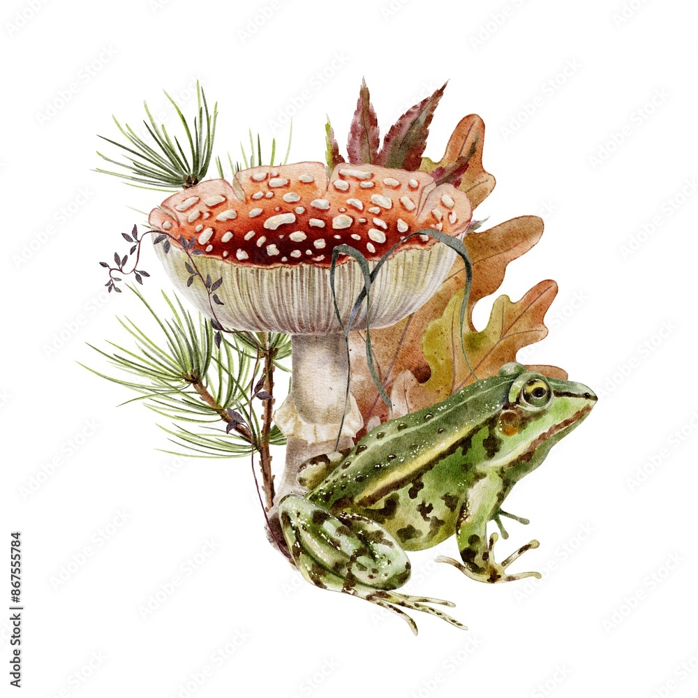 Fototapeta premium Autumn composition frog, mushroom fly agaric, pine spruce needles, grass branch leaves watercolor set illustration. For decoration children’s parties, stickers, textile, fabric