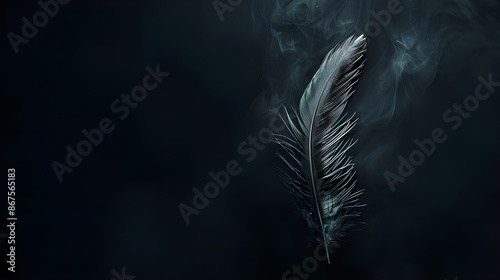 Feather of a bird on a dark background, Silhouette of a white feather abstract artistic