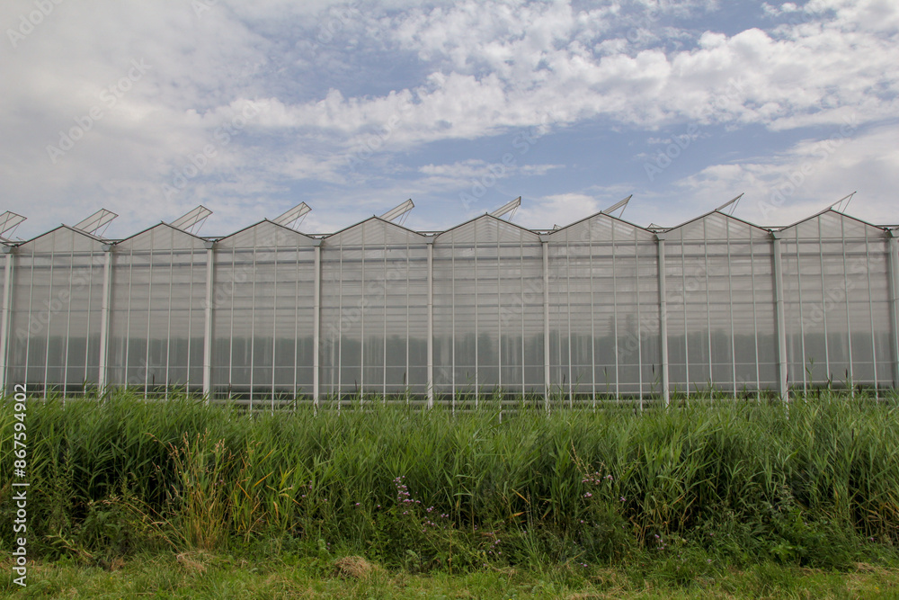 a greenhouse complex closeup at a green field in the dutch countryside a greenhouse complex closeup at a green field in the dutch countryside