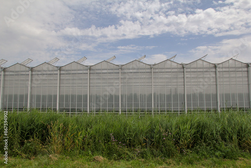 front view at a greenhouse complex with glass closeup at a green field in the dutch countryside 
