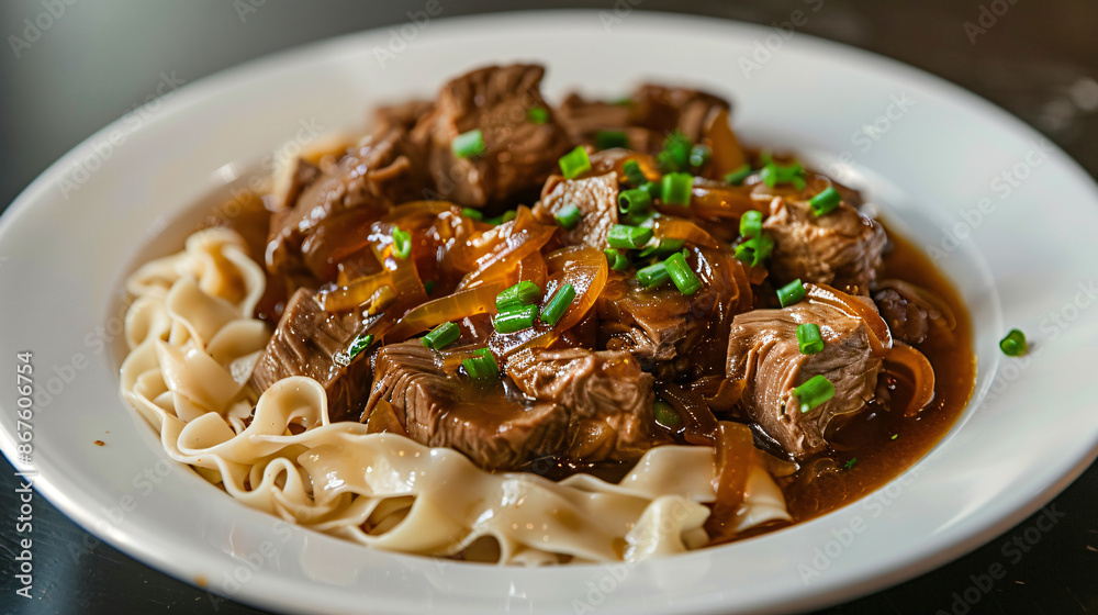 Traditional uzbekistan dish: savory beef stew with noodles and topped with fresh green onions Traditional uzbekistan dish: savory beef stew with noodles and topped with fresh green onions