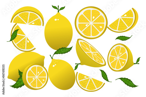 Lemon slices. Fresh citrus, half sliced lemons and chopped lemon. Cut lemons fruit slice and zest for lemonade juice or vitamin c logo. Isolated cartoon vector illustration icons set