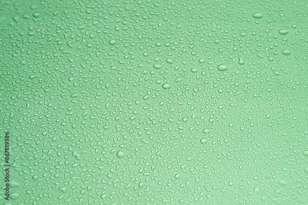 Fototapeta premium Green background with drops