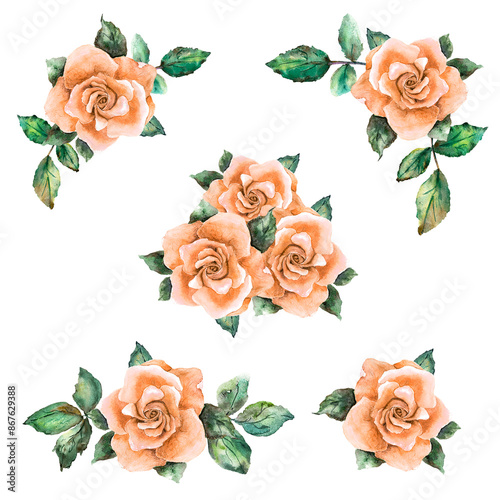 Isolated set of decorative collages with beige rose and leaves