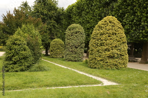 Topiaires au jardin des plantes à Paris photo