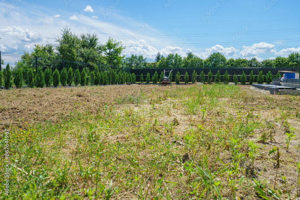 Obraz premium Overgrown weeds near the new build house