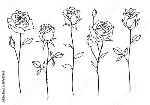 Rose bud stems vector SVG outline