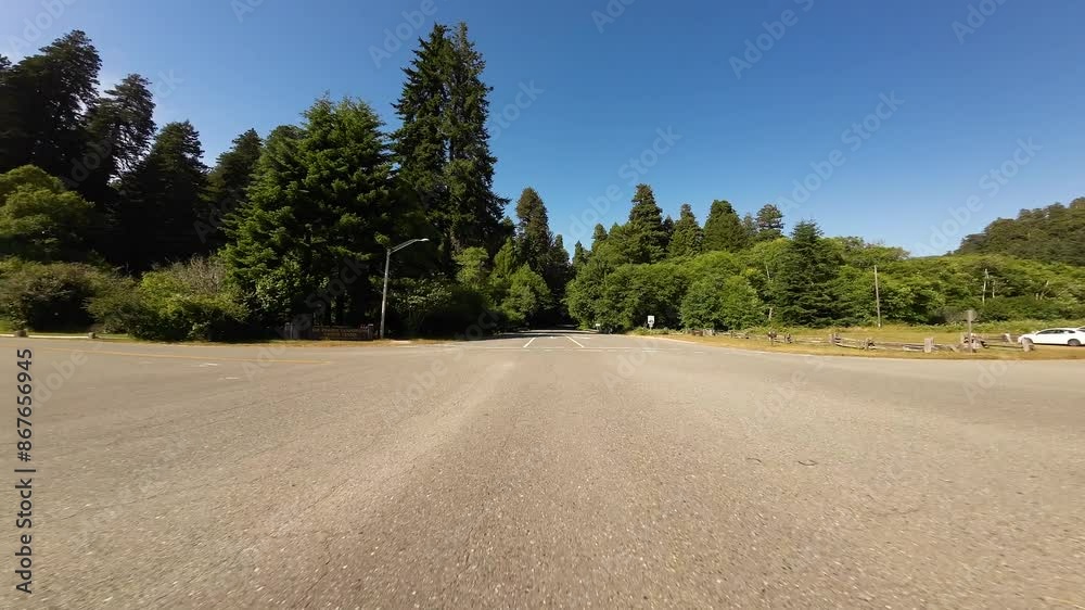 Redwood National Park Scenic Parkway Southbound 02 Rear View at Visitor Center Driving Plates of Newton B Drury Scenic Parkway in North California USA Ultra Wide Redwood National Park Scenic Parkway Southbound 02 Rear View at Visitor Center Driving Plates of Newton B Drury Scenic Parkway in North California USA Ultra Wide