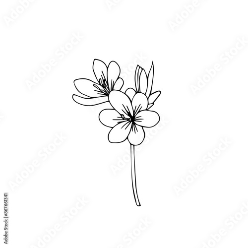 Simple floral line art style design silhouette vector isolated