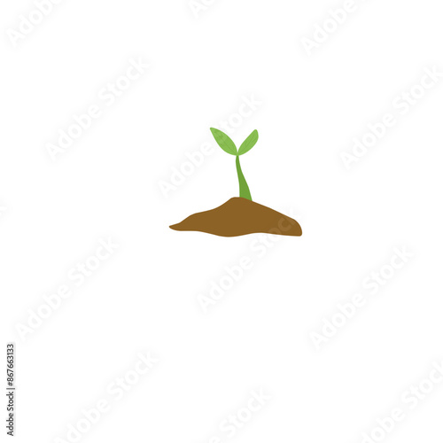 shoots. sapling tree  new trees grow