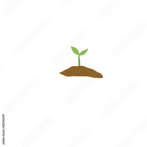 shoots. sapling tree  new trees grow