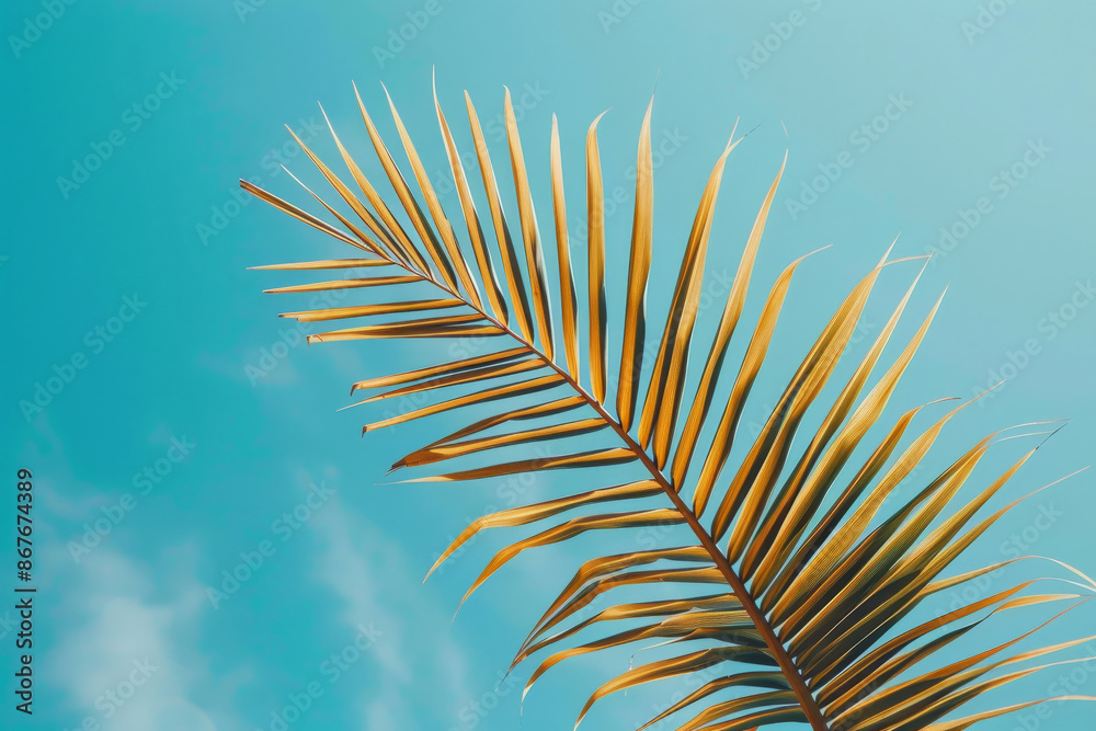 Fototapeta premium Palm leaves against a bright blue sky with space for text or inscriptions 