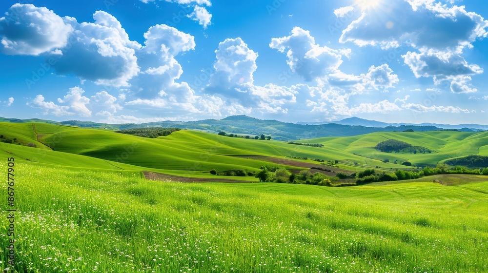 Fototapeta premium Tranquil Rolling Hills and Meadows Beneath Clear Sky with Fluffy Clouds