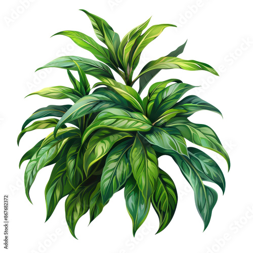 Green tropical plant with lush, vibrant leaves, ideal for indoor decoration, bringing nature and freshness to any space. © Sodapeaw