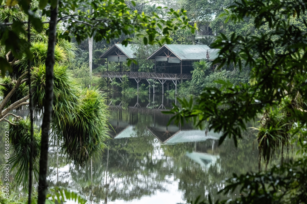 Beautiful houses on the lake in Borneo Rainforest Discovery Center Sabah Borneo Malaysia Beautiful houses on the lake in Borneo Rainforest Discovery Center Sabah Borneo Malaysia