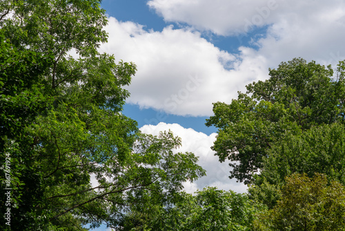 Fototapeta Naklejka Na Ścianę i Meble -  cloudy sky and trees