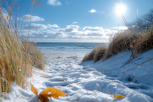 Fototapeta Naklejka Na Ścianę i Meble -  rolling sand dunes professional photography