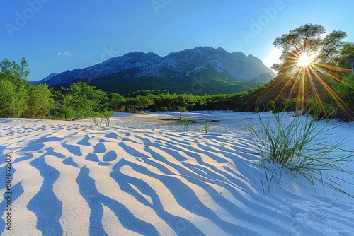Fototapeta Naklejka Na Ścianę i Meble -  rolling sand dunes professional photography