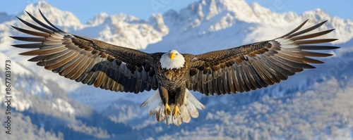 A majestic bald eagle soaring high above a pristine wilderness, its wings spread wide against a clear blue sky. photo