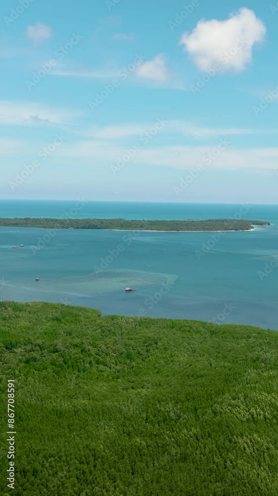 Aerial view of rainforest and jungle on the coast of the island. Balabac, Palawan. Philippines. Aerial view of rainforest and jungle on the coast of the island. Balabac, Palawan. Philippines.