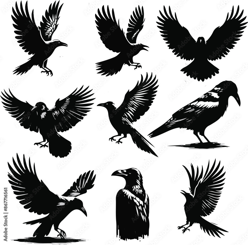 Obraz premium Versatile Crow Silhouettes set Vector