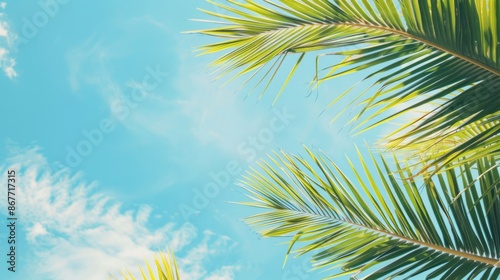 palm leaves on blue sky background --ar 16:9 --style raw Job ID: 77f4124b-67d5-467b-9b18-ca8c6a70cb5d © tanibond