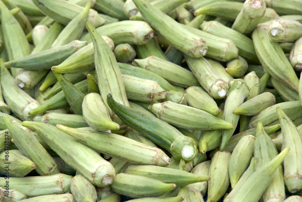 Close up on pile of fresh raw Okra sale at farmers market.. View from above. Close up on pile of fresh raw Okra sale at farmers market.. View from above.