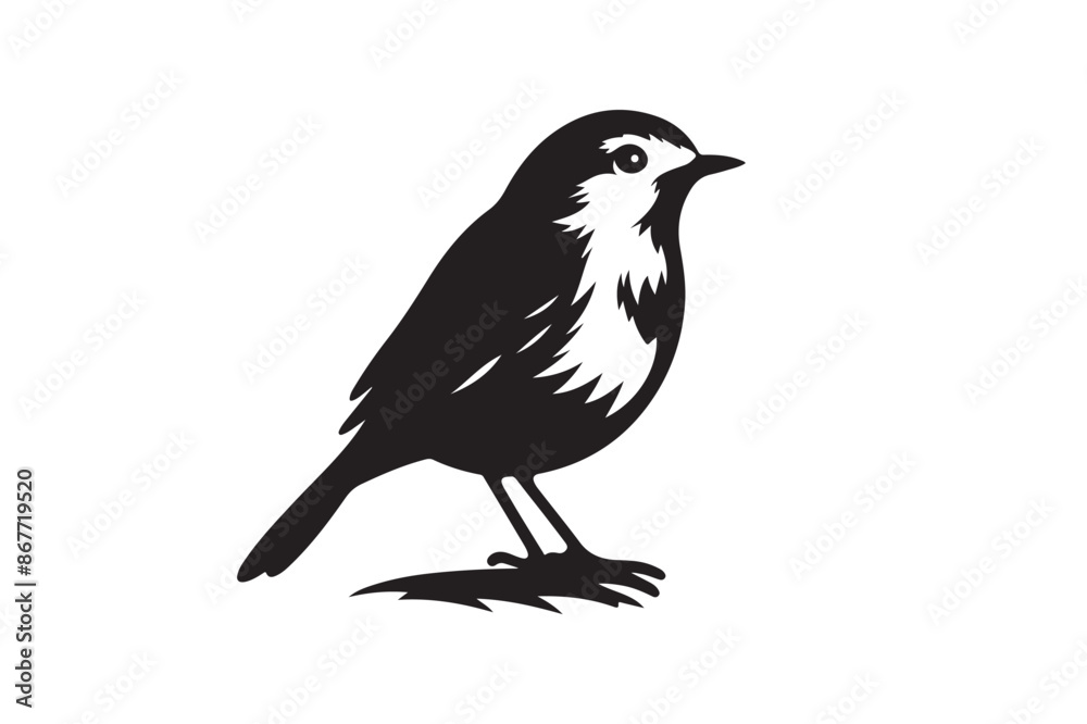 Robin bird Silhouette vector Illustration Robin bird Silhouette vector Illustration