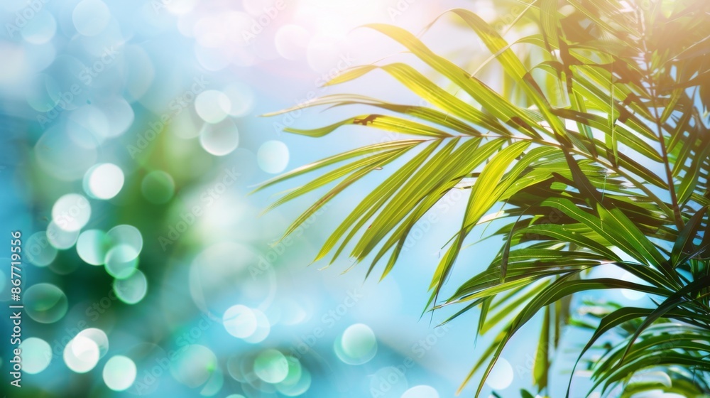 palm leaves on blue sky background --ar 16:9 --style raw Job ID: d4aad3af-1b17-4029-94c5-d79cc9e08e4e palm leaves on blue sky background --ar 16:9 --style raw Job ID: d4aad3af-1b17-4029-94c5-d79cc9e08e4e
