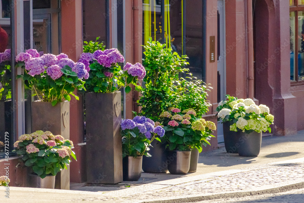 Fototapeta premium A row of potted plants with purple and white flowers sit on a sidewalk