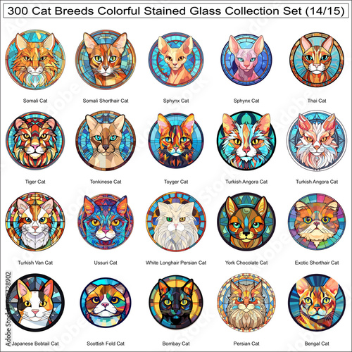 Colorful Cat Breeds Stained Glass Cute Cats Bundle Collection Set of 300 Cat Faces Part 14