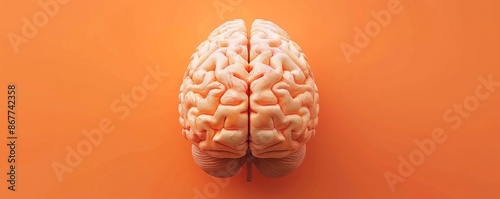 Human brain model on orange background, scientific visualization concept