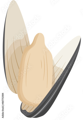 Sunflower Seed Cracked Illustration