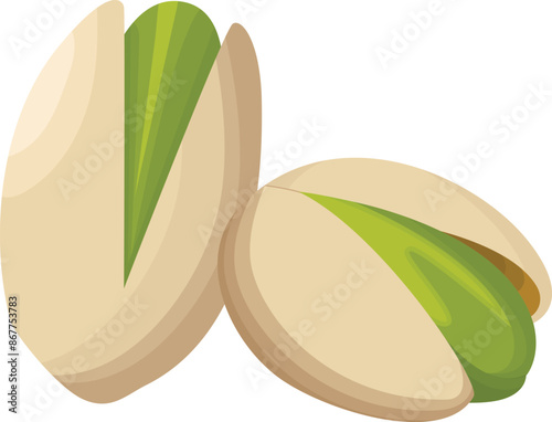Pistachio Nut Cracked Illustration