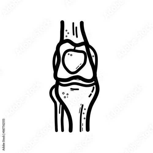 knee joint, knee, orthopedic - vector icon