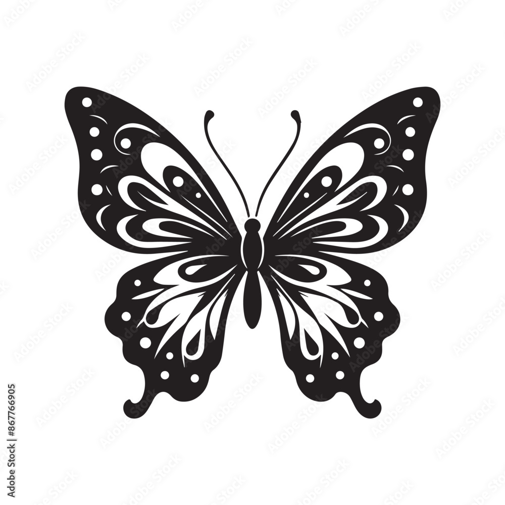 butterfly illustration butterfly illustration