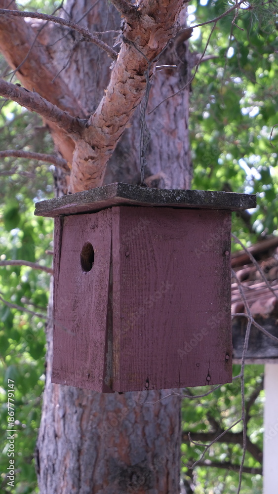 a wooden birdhouse hanging from a tree in the garden. a wooden birdhouse hanging from a tree in the garden.