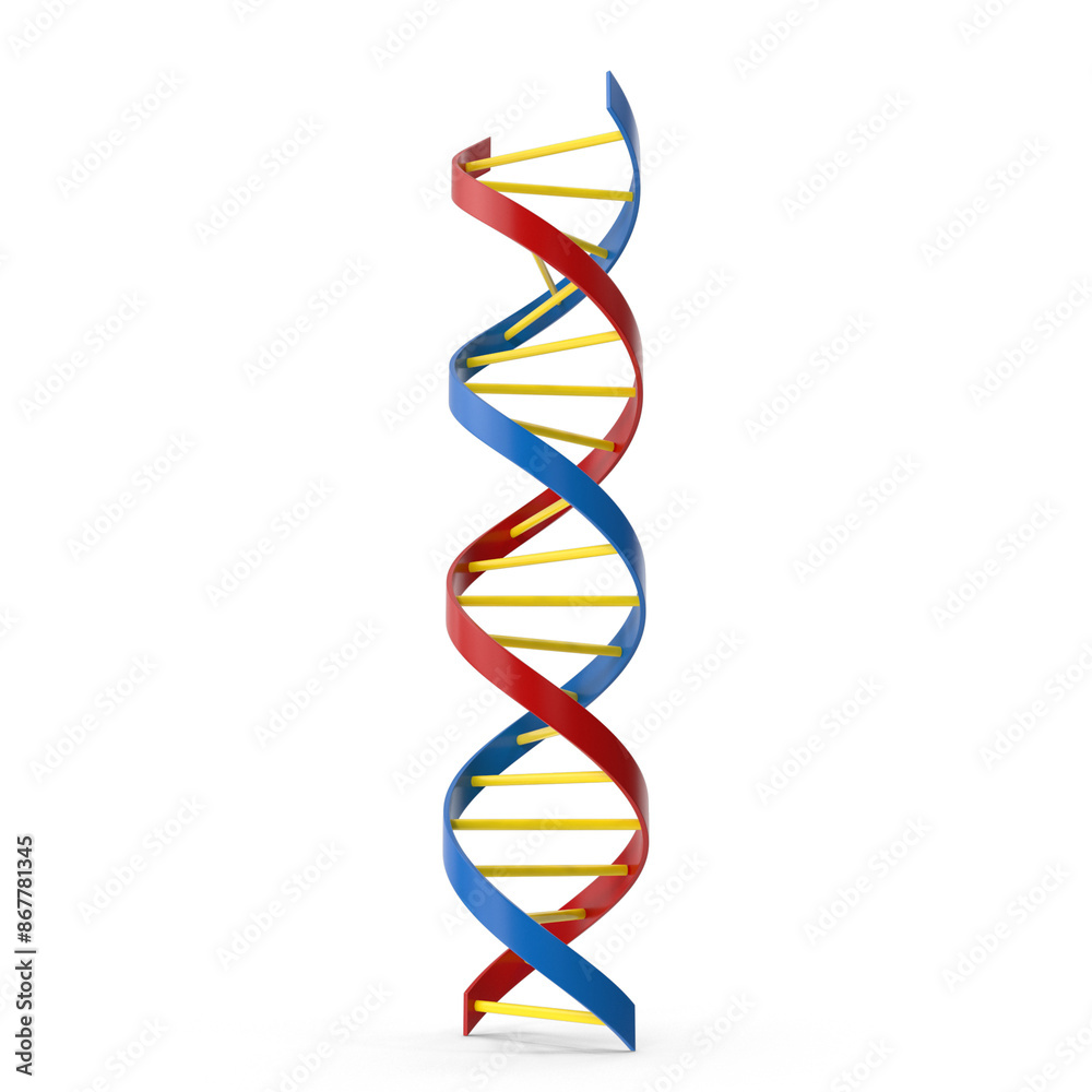 Realistic 3D DNA Model PNG Images | High-Quality DNA Modeling ...