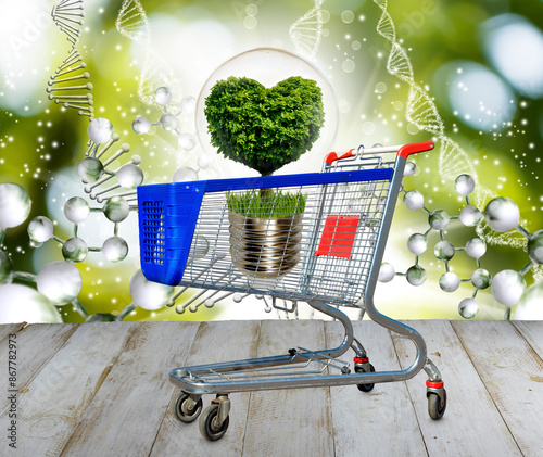A Heart-Shaped Tree Sprouting in a Shopping Cart on a Wooden Floor