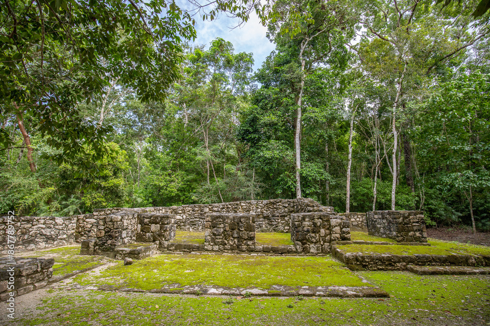 Calakmul, a Maya archaeological site in the deep in the jungles in Campeche, Mexico Calakmul, a Maya archaeological site in the deep in the jungles in Campeche, Mexico