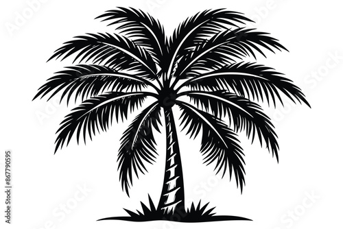 vector set of tropical palm tree silhouettes