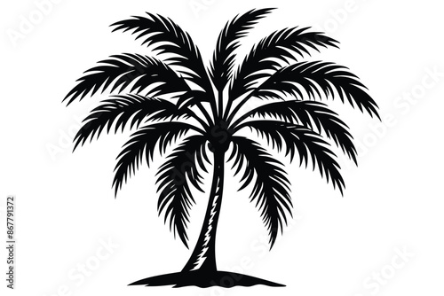 vector set of tropical palm tree silhouettes