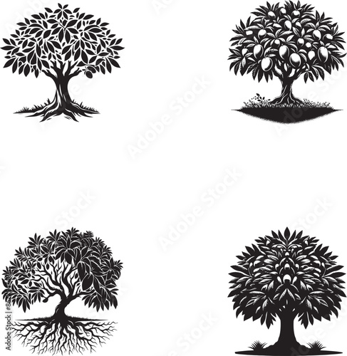 Black Silhouette Mango Tree Vector Illustration for Design