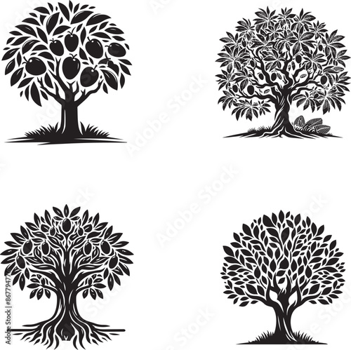 Black Silhouette Mango Tree Vector Illustration for Design