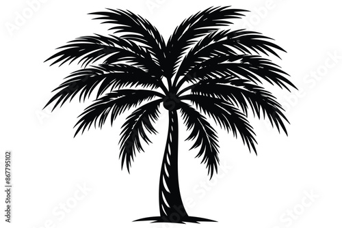vector set of tropical palm tree silhouettes