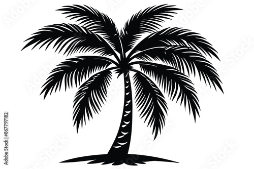 vector set of tropical palm tree silhouettes